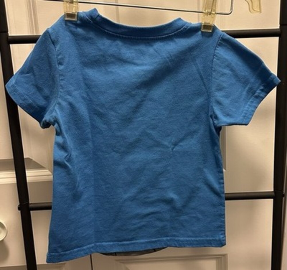 Bluey Bingo Puppy Dog Pals Kids 4T Blue Graphic T-Shirt Short Sleeve Cotton - Picture 2 of 3